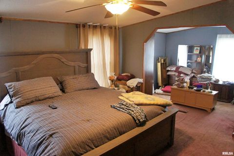 Tiny photo for 6752 S US 45 Road, Brookport, IL 62910 (MLS # EB459607)