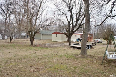 Tiny photo for 6752 S US 45 Road, Brookport, IL 62910 (MLS # EB459607)