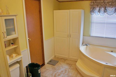 Tiny photo for 6752 S US 45 Road, Brookport, IL 62910 (MLS # EB459607)