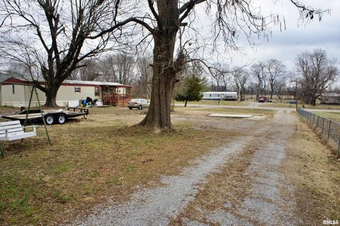 Tiny photo for 6752 S US 45 Road, Brookport, IL 62910 (MLS # EB459607)