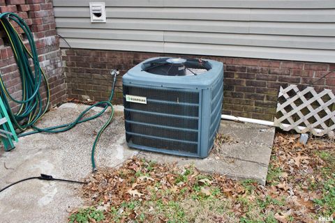 Tiny photo for 6752 S US 45 Road, Brookport, IL 62910 (MLS # EB459607)