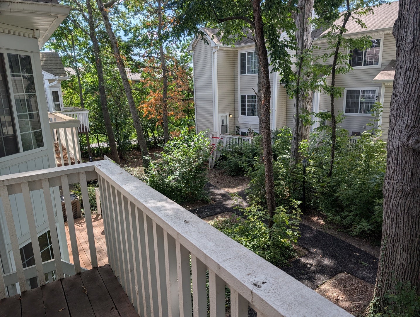 293 W Treehouse Lane