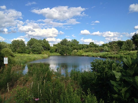 Tiny photo for 698 Greenfield Road, Sugar Grove, IL 60554 (MLS # 12742208)