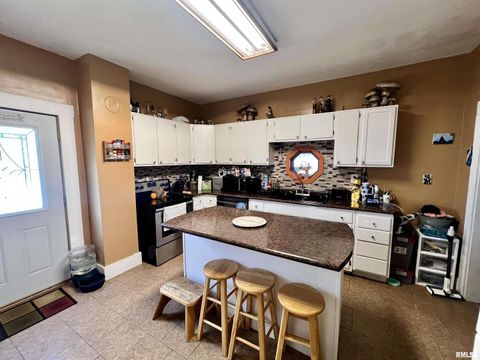 Tiny photo for 110 Van Horn Street, Muscatine, IA 52761 (MLS # QC4269313)