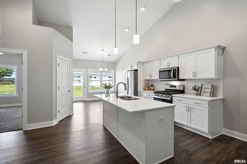 Tiny photo for 141 BEACON HARBOR Circle, East Moline, IL 61244 (MLS # QC4267385)