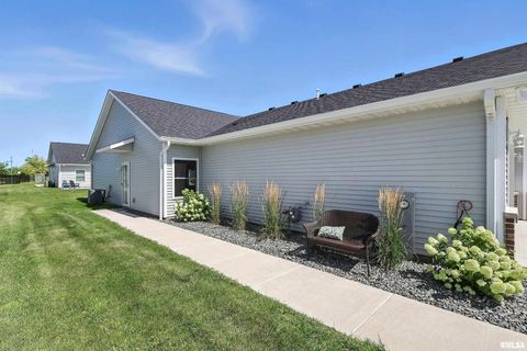 Tiny photo for 141 BEACON HARBOR Circle, East Moline, IL 61244 (MLS # QC4267385)