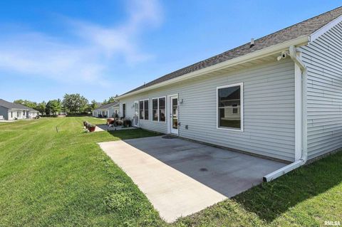 Tiny photo for 141 BEACON HARBOR Circle, East Moline, IL 61244 (MLS # QC4267385)