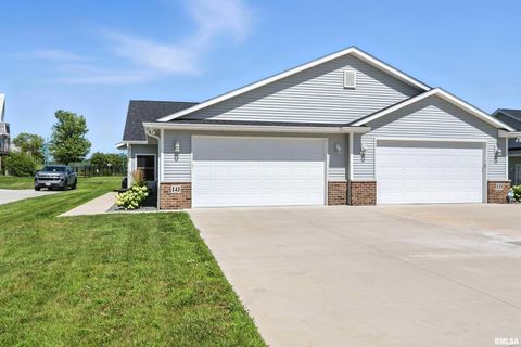 Tiny photo for 141 BEACON HARBOR Circle, East Moline, IL 61244 (MLS # QC4267385)