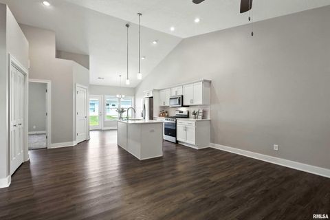 Tiny photo for 141 BEACON HARBOR Circle, East Moline, IL 61244 (MLS # QC4267385)