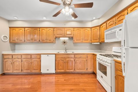 Tiny photo for 17330 Carlyle Court, Tinley Park, IL 60487 (MLS # 12540943)