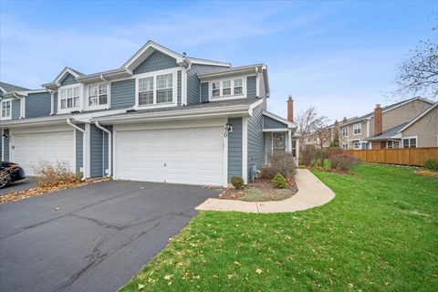 Photo of 50 White Pine Drive, Schaumburg, IL 60193 (MLS # 12519975)