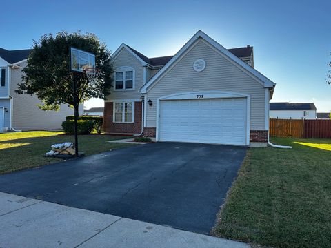Photo of 709 Winterberry Drive, Joliet, IL 60431 (MLS # 12491699)