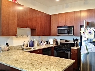 1464 S MICHIGAN Avenue 1507