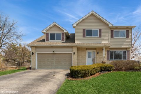 1404 Canyon Court Bolingbrook IL 60490
