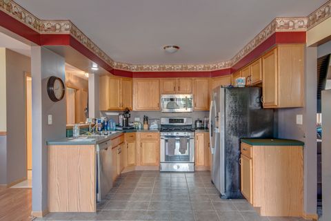 Tiny photo for 5307 W Park Lane, Monee, IL 60449 (MLS # 12628653)