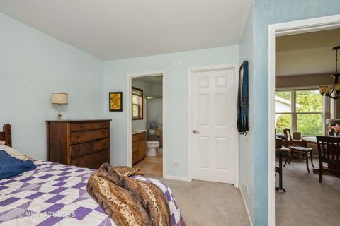 Tiny photo for 1016 Castleton Court, Grayslake, IL 60030 (MLS # 12693121)