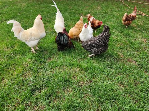 Tiny photo for 6760 TIPPLE Road, Rockford, IL 61102 (MLS # 12618372)