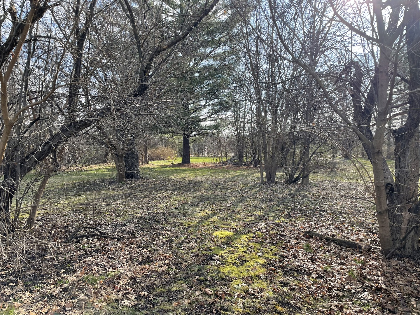 Machesney Park, Illinois 61115, United States, ,Land,Active,202236