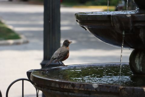 Tiny photo for 5842 N SAINT JOHNS Court, Chicago, IL 60646 (MLS # 12494433)