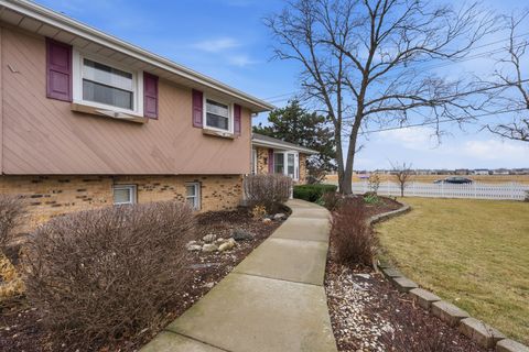 Tiny photo for 20753 Mary Drive, Lockport, IL 60441 (MLS # 12580121)
