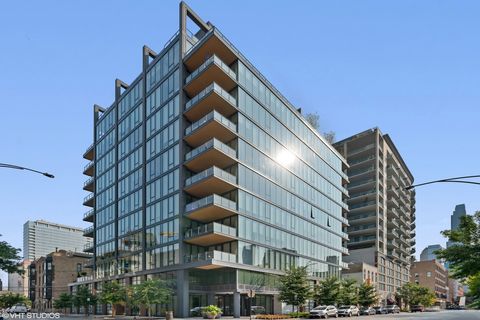 366 W Superior Street 302 Chicago IL 60654