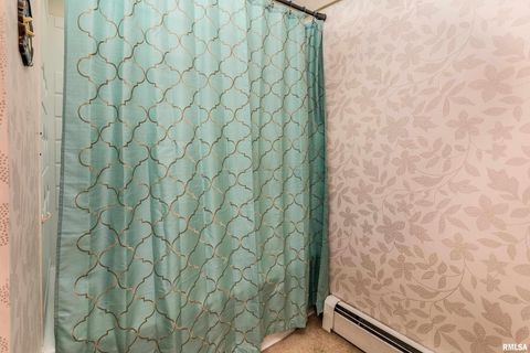 Tiny photo for 2120 LOGAN Street, Murphysboro, IL 62966 (MLS # EB459852)