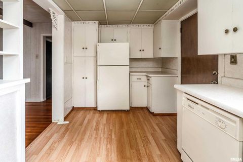 Tiny photo for 2120 LOGAN Street, Murphysboro, IL 62966 (MLS # EB459852)