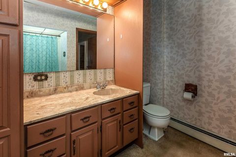 Tiny photo for 2120 LOGAN Street, Murphysboro, IL 62966 (MLS # EB459852)