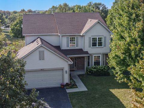 1413 Sedge Pass Minooka IL 60447