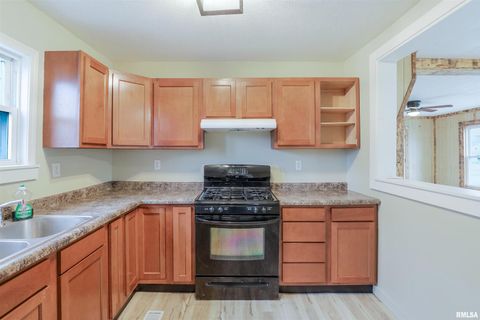 Tiny photo for 506 W POPLAR Street, West Frankfort, IL 62896 (MLS # QC4269621)