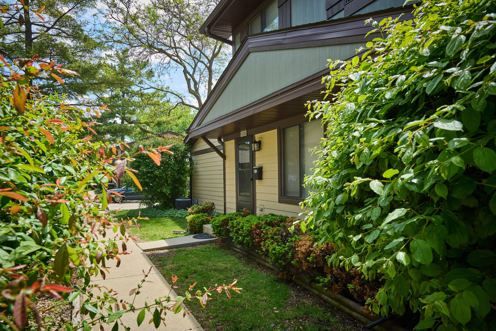 6256 Kit Carson Drive 6256