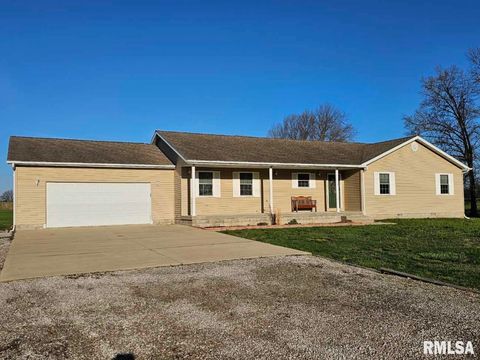 Tiny photo for 10457 N Puckett Lane, Mt Vernon, IL 62864 (MLS # EB457319)
