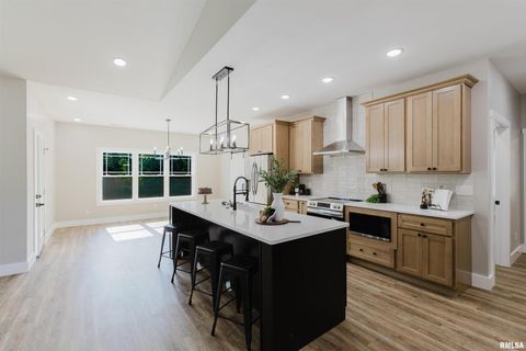 Tiny photo for 704 Jonathan Lane, Carterville, IL 62918 (MLS # 12577193)