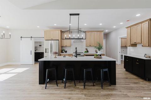 Tiny photo for 704 Jonathan Lane, Carterville, IL 62918 (MLS # 12577193)