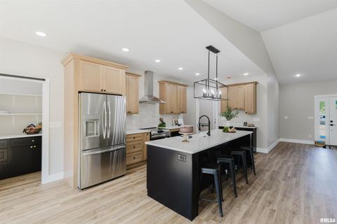 Tiny photo for 704 Jonathan Lane, Carterville, IL 62918 (MLS # 12577193)