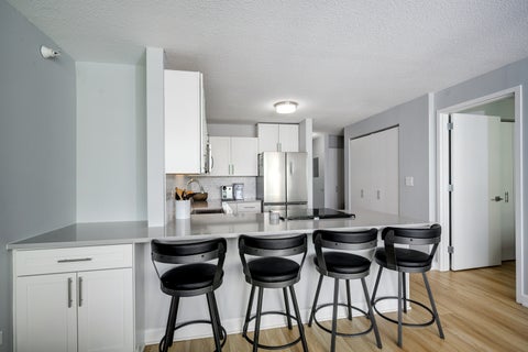 Tiny photo for Chicago, IL 60611 (MLS # 12742723)