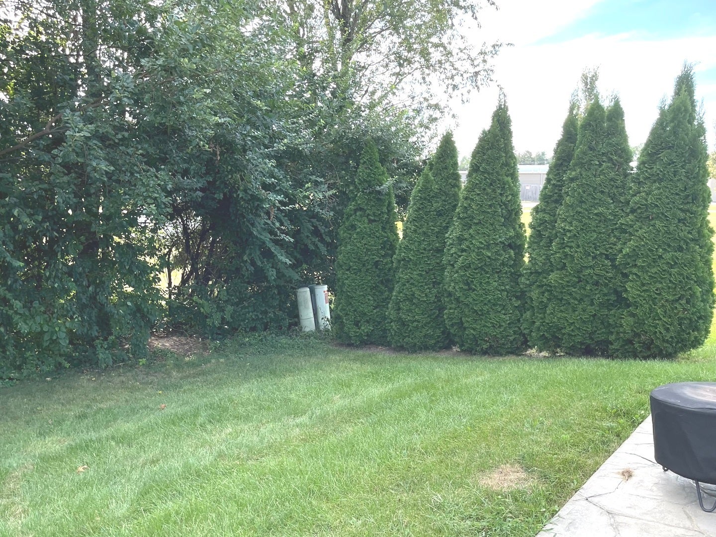 843 Winchester Green Drive