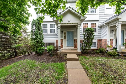 266 Holiday Lane Hainesville IL 60073