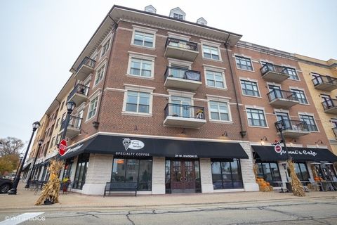 Photo of 24 W Station Street #206W, Palatine, IL 60067 (MLS # 12608232)