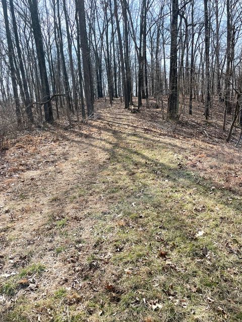 Tiny photo for 3085 Kaolin Road, Cobden, IL 62920 (MLS # 12571623)