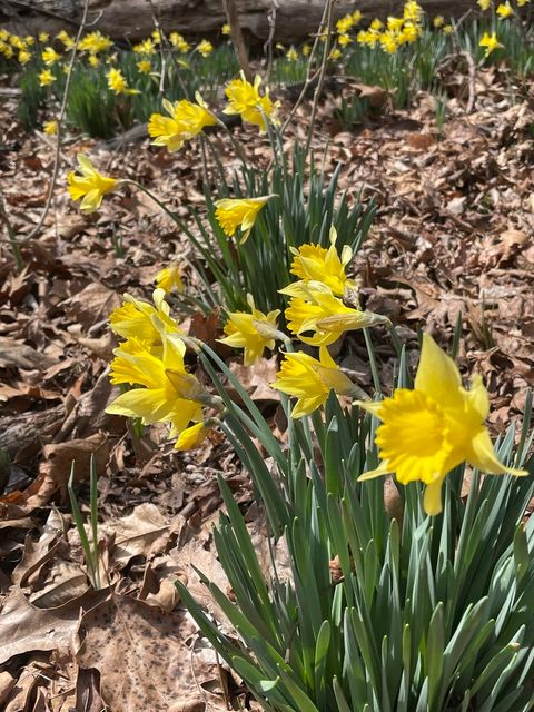 Tiny photo for 3085 Kaolin Road, Cobden, IL 62920 (MLS # 12571623)