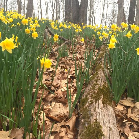 Tiny photo for 3085 Kaolin Road, Cobden, IL 62920 (MLS # 12571623)