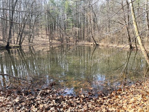 Tiny photo for 3085 Kaolin Road, Cobden, IL 62920 (MLS # 12571623)