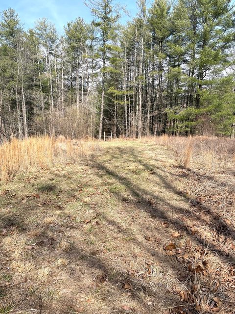 Tiny photo for 3085 Kaolin Road, Cobden, IL 62920 (MLS # 12571623)