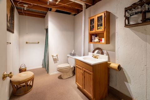 Tiny photo for 3085 Kaolin Road, Cobden, IL 62920 (MLS # 12571623)