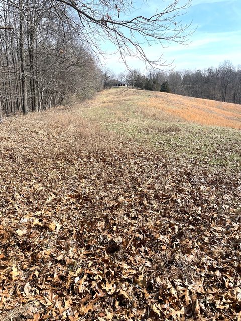 Tiny photo for 3085 Kaolin Road, Cobden, IL 62920 (MLS # 12571623)