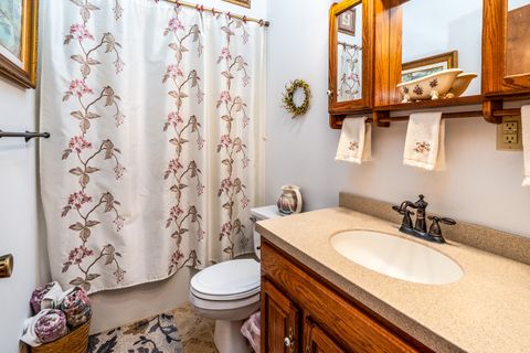 Tiny photo for 3085 Kaolin Road, Cobden, IL 62920 (MLS # 12571623)