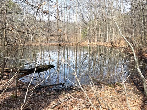 Tiny photo for 3085 Kaolin Road, Cobden, IL 62920 (MLS # 12571623)