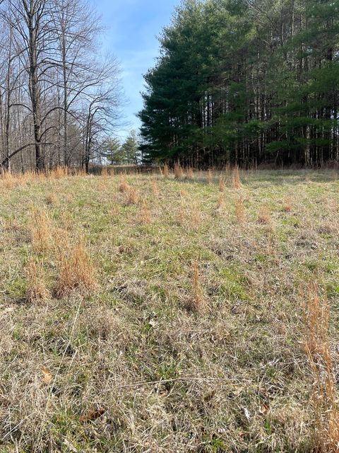 Tiny photo for 3085 Kaolin Road, Cobden, IL 62920 (MLS # 12571623)