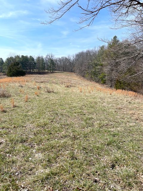 Tiny photo for 3085 Kaolin Road, Cobden, IL 62920 (MLS # 12571623)